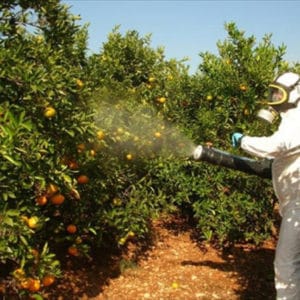 buenas_practicas_agricolas_BPA_cinegemp