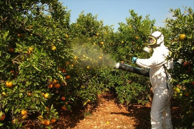 BUENAS PRACTICAS AGRICOLAS BPA CINEGEMP buenas_practicas_agricolas_BPA_cinegemp