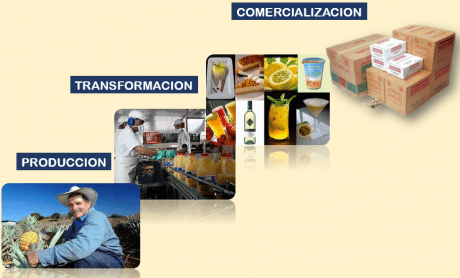 Foto Agricola Produccion